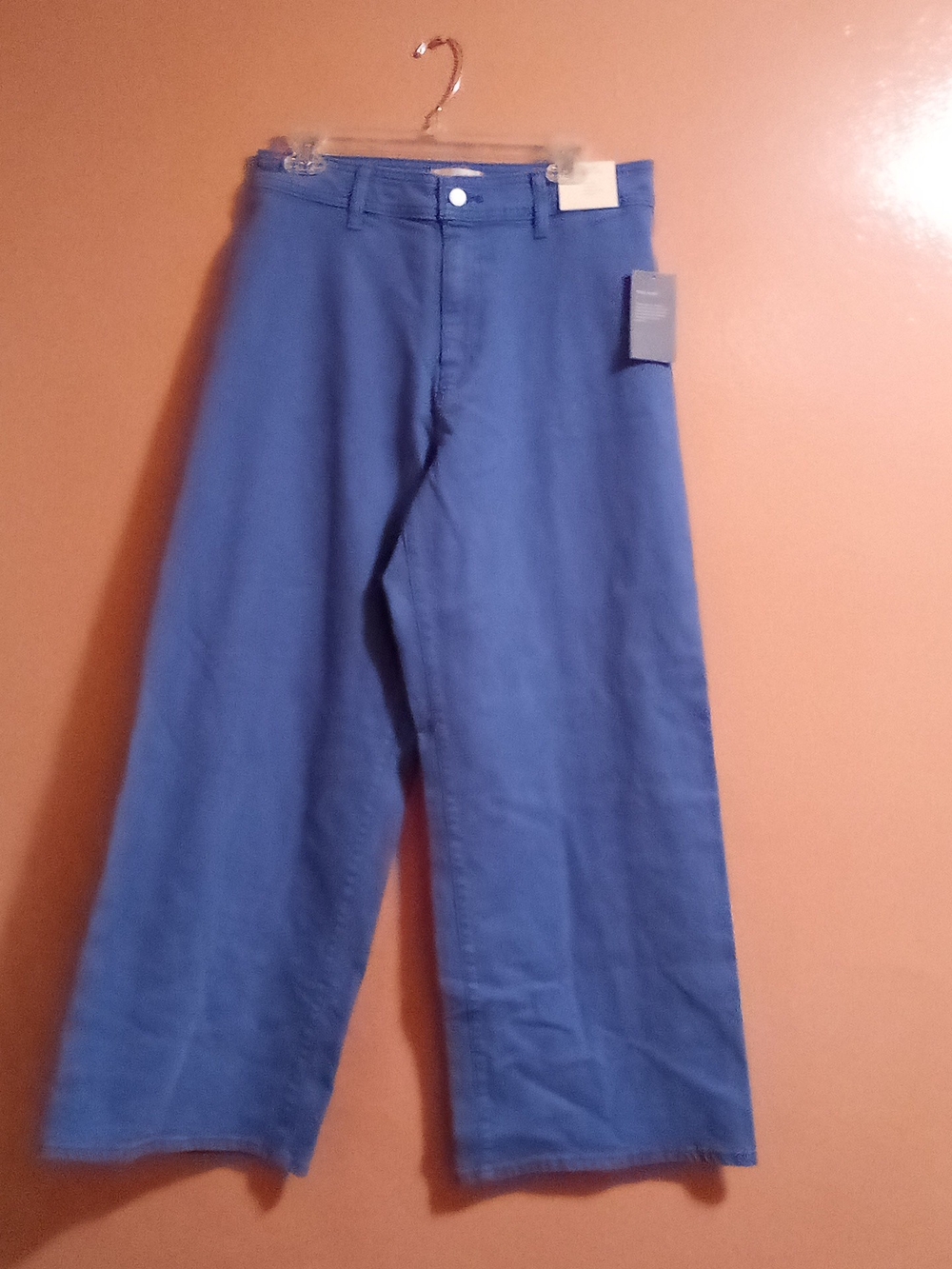 Women's Wide-Leg Pants in Blue ( Bag Q ) - Picture 1 of 3